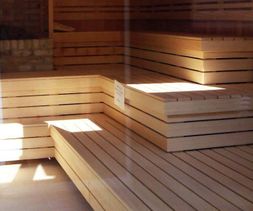 Bavo Saunabouw Professionele Sauna  10