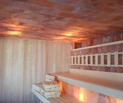 Bavo Saunabouw Professionele Sauna  6